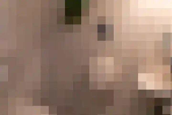 Diergaarde 18 Ulft thumbnail 22