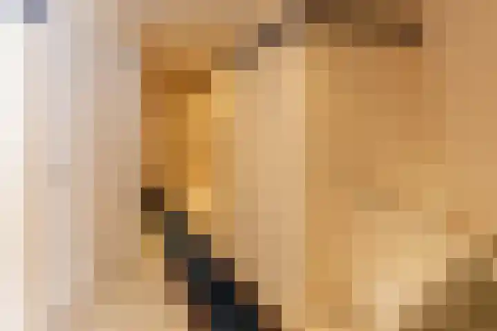 Diergaarde 18 Ulft thumbnail 24