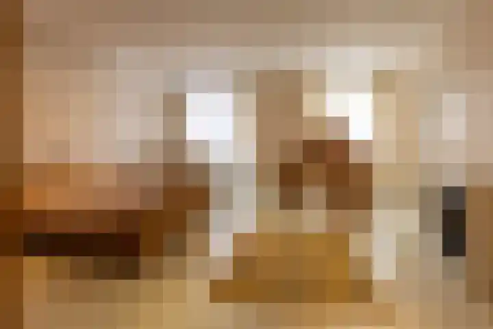 Diergaarde 18 Ulft thumbnail 29