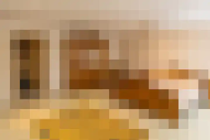 Diergaarde 18 Ulft thumbnail 31