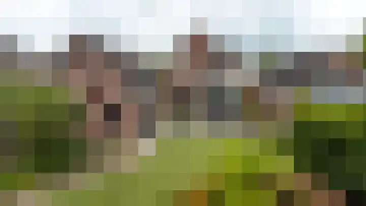Diergaarde 18 Ulft thumbnail 39