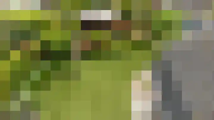 Diergaarde 18 Ulft thumbnail 40