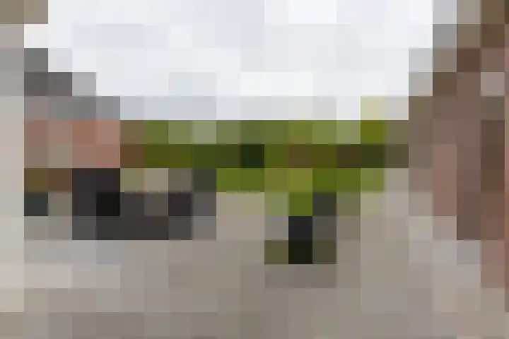 Diergaarde 18 Ulft thumbnail 42