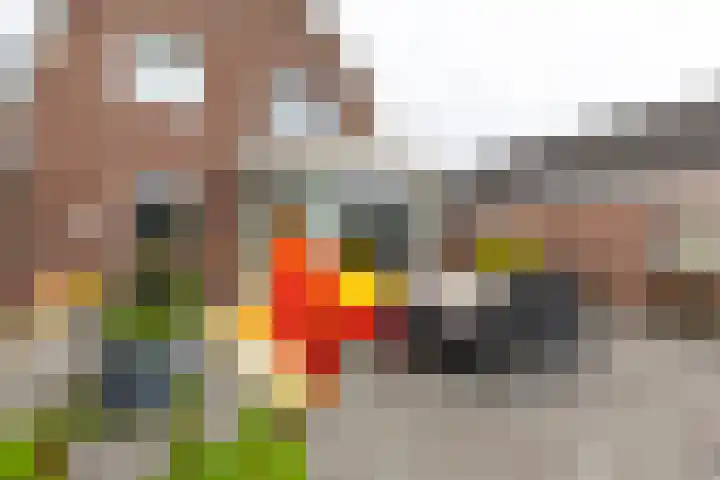 Diergaarde 18 Ulft thumbnail 43