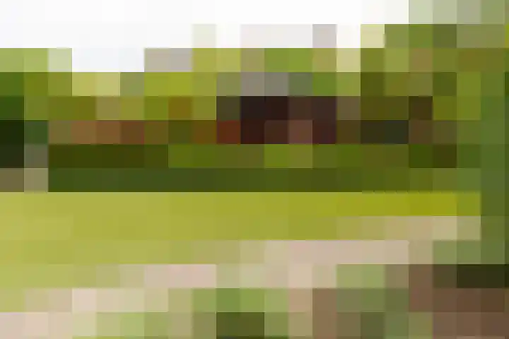 Diergaarde 18 Ulft thumbnail 45