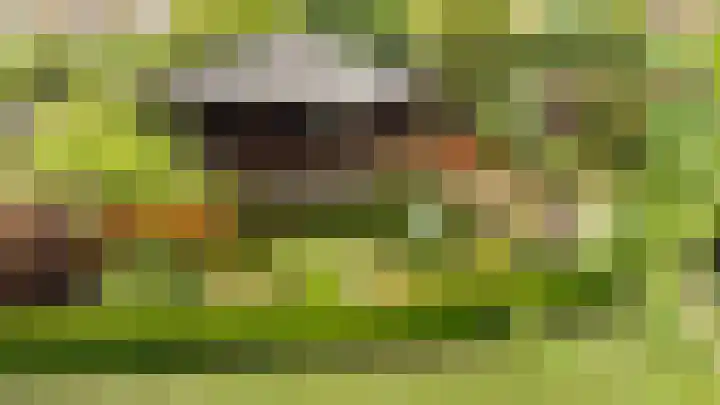 Diergaarde 18 Ulft thumbnail 46