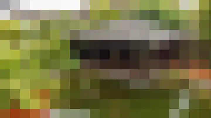 Diergaarde 18 Ulft thumbnail 47