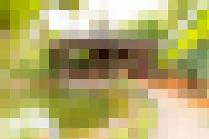 Diergaarde 18 Ulft thumbnail 48