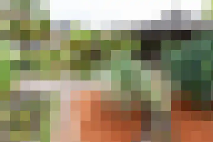 Diergaarde 18 Ulft thumbnail 49
