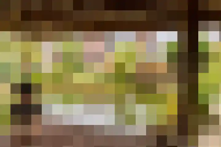 Diergaarde 18 Ulft thumbnail 50