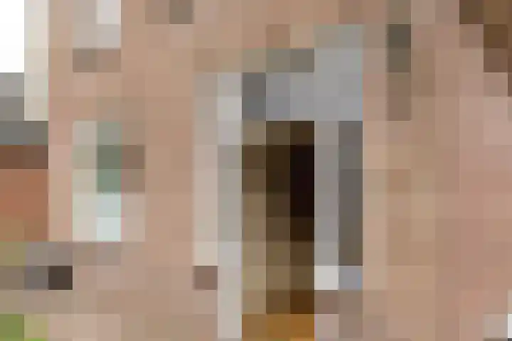 Diergaarde 18 Ulft thumbnail 8