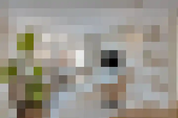 Diergaarde 26 Ulft thumbnail 10