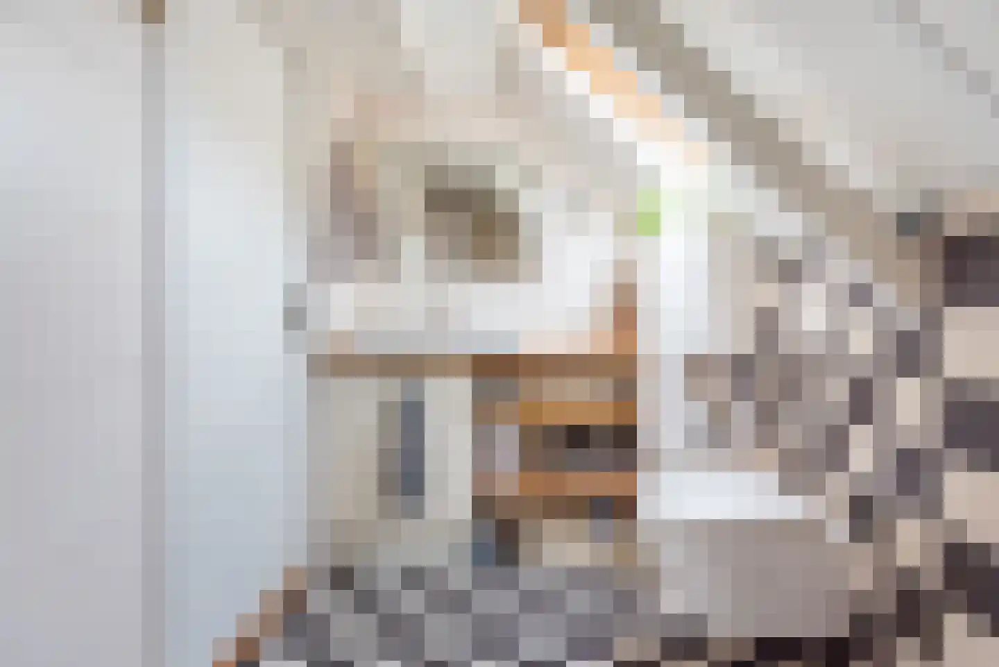 Diergaarde 3 Ulft thumbnail 24