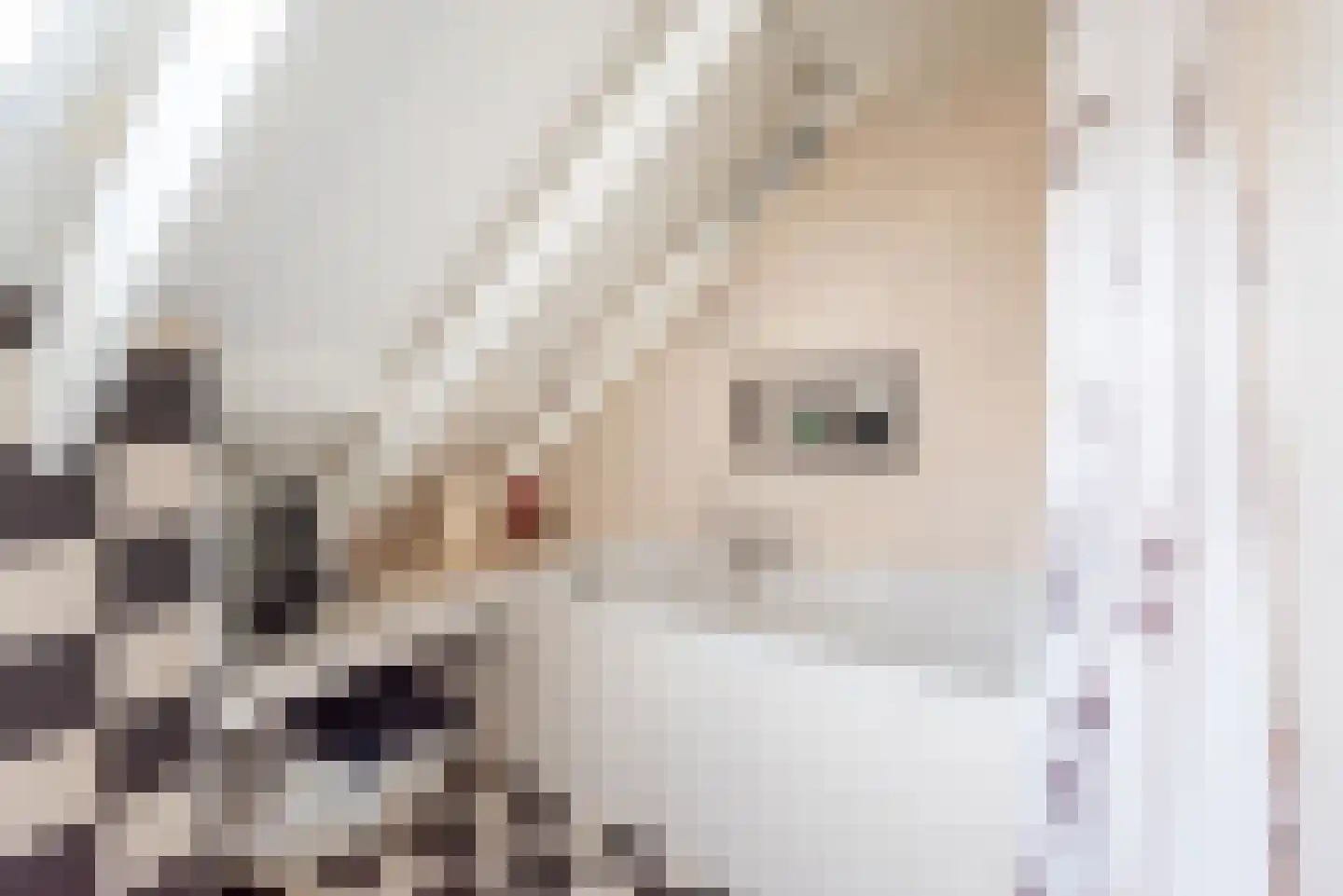 Diergaarde 3 Ulft thumbnail 25