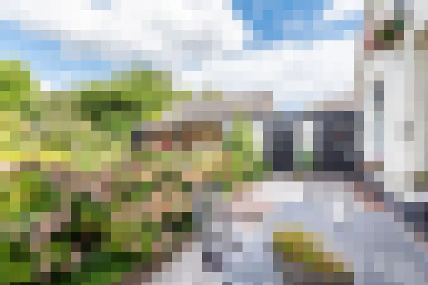 Diergaarde 3 Ulft thumbnail 32