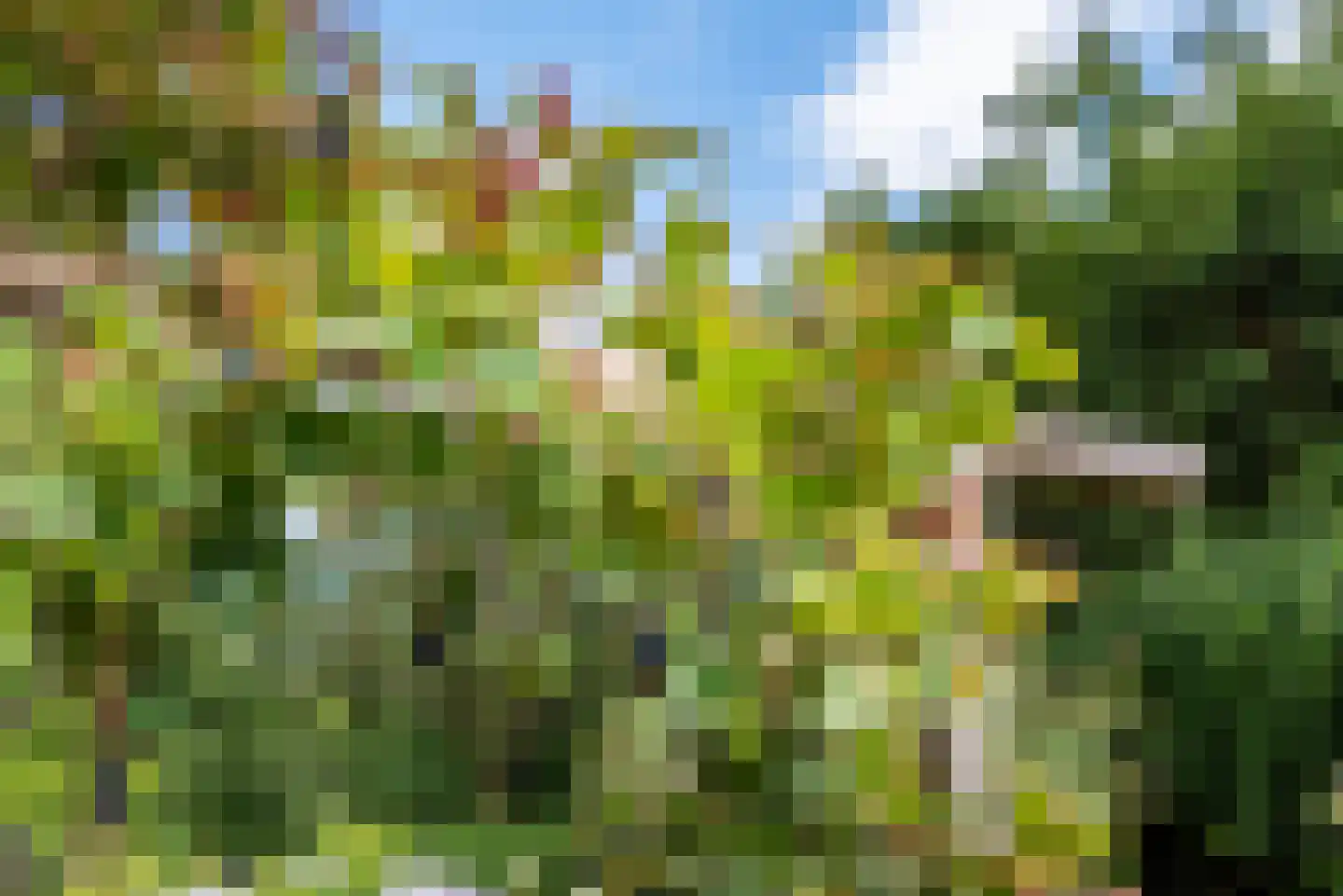 Diergaarde 3 Ulft thumbnail 38