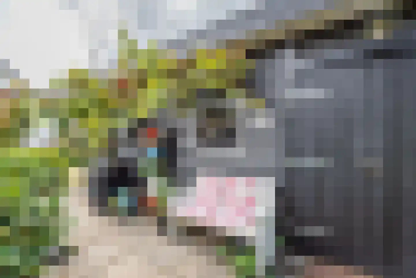 Diergaarde 3 Ulft thumbnail 39