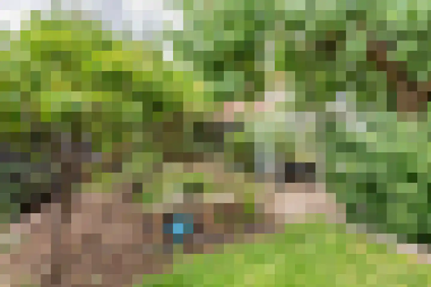 Diergaarde 3 Ulft thumbnail 42