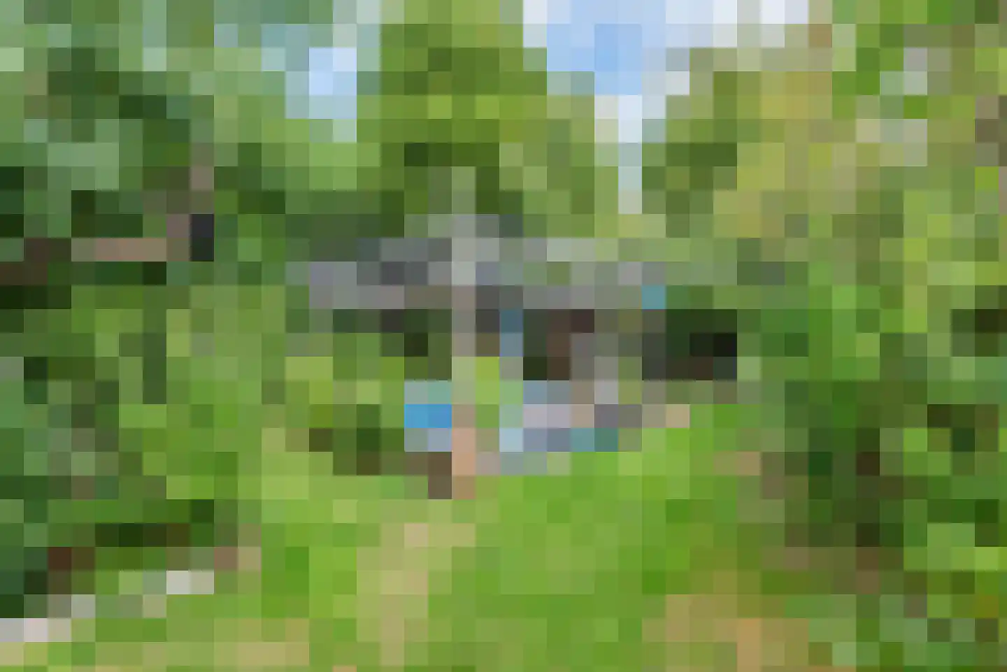 Diergaarde 3 Ulft thumbnail 44