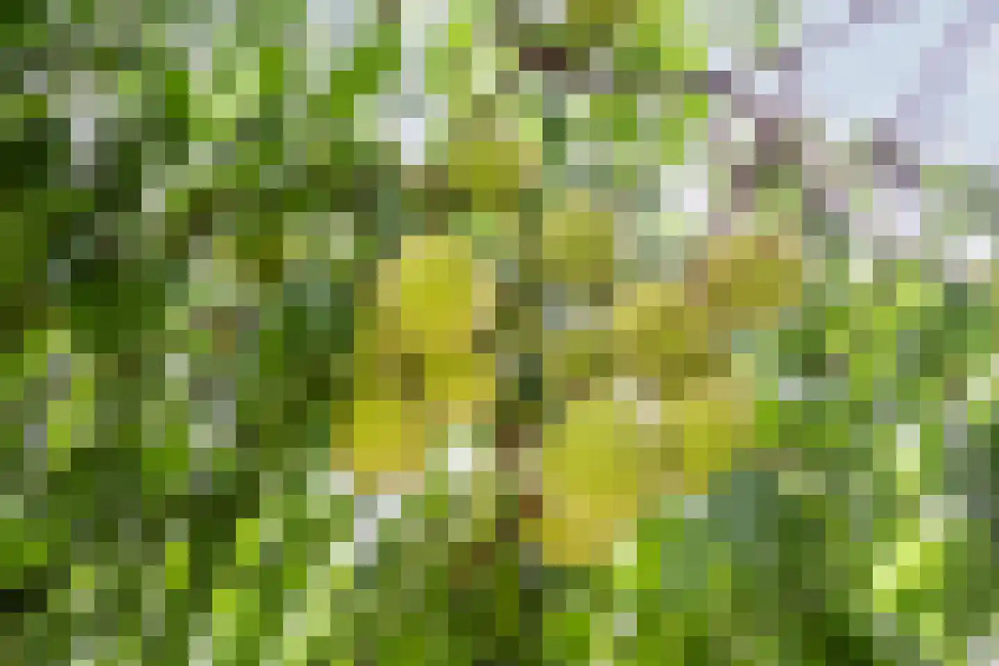 Diergaarde 3 Ulft thumbnail 45