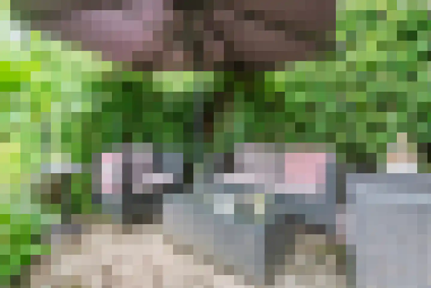Diergaarde 3 Ulft thumbnail 46