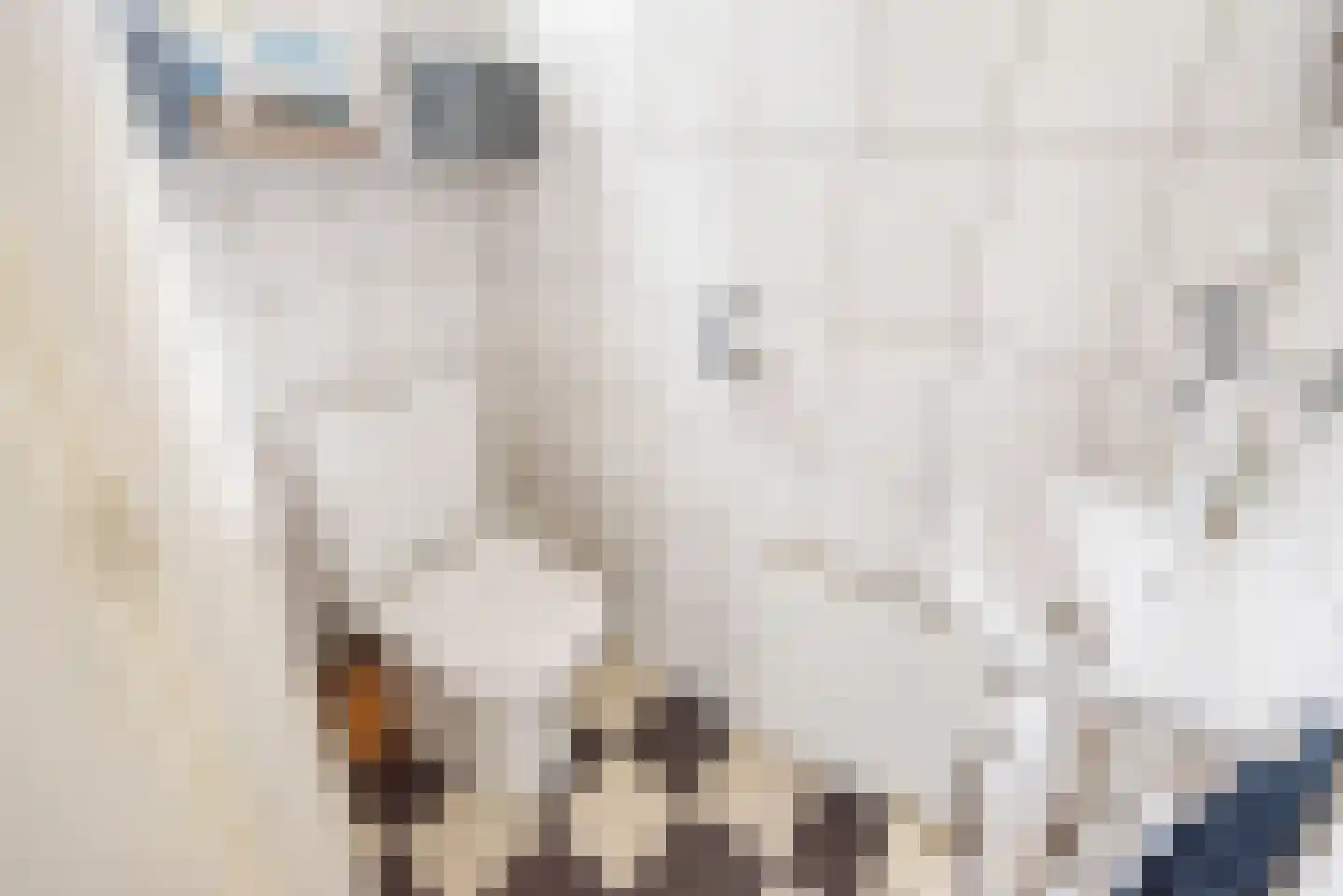 Diergaarde 3 Ulft thumbnail 9