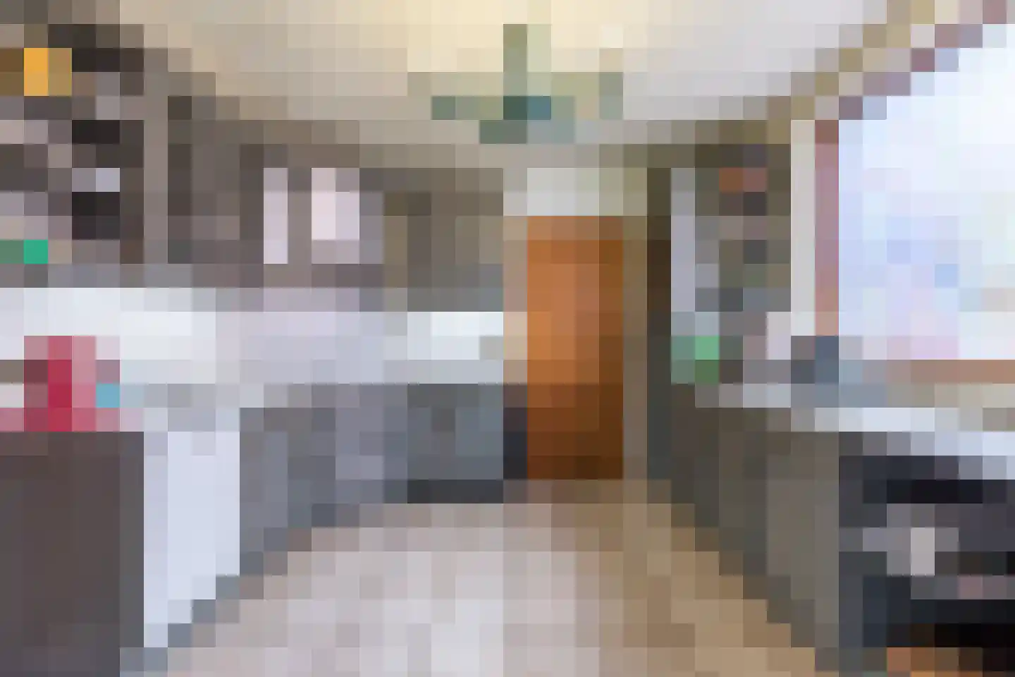 Diergaarderstraat West 15 Maria Hoop thumbnail 10