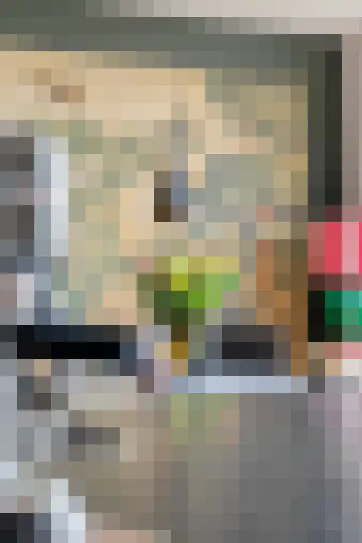 Diergaardesingel 40 Rotterdam thumbnail 15