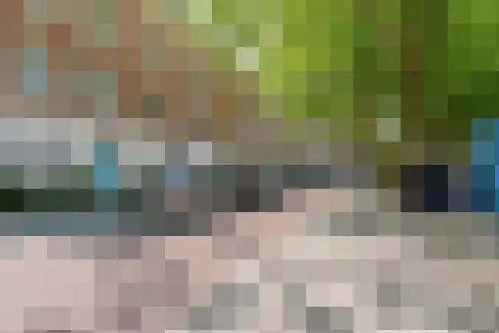 Diergaardesingel 40 Rotterdam thumbnail 30
