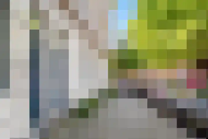 Diergaardesingel 40 Rotterdam thumbnail 31