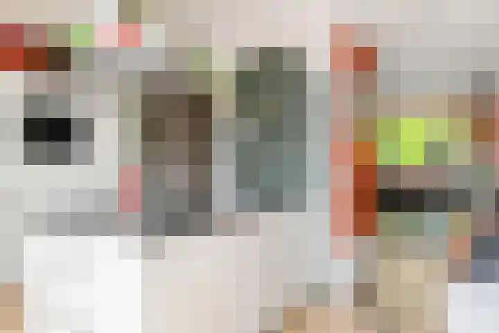 Diergaardesingel 40 Rotterdam thumbnail 4