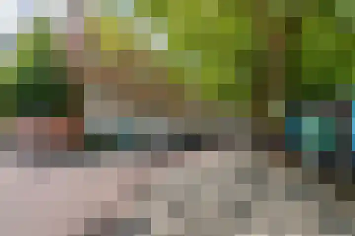 Diergaardesingel 40 Rotterdam thumbnail 5