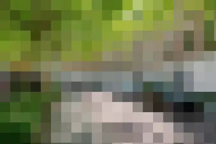 Diergaardesingel 40 Rotterdam thumbnail 6