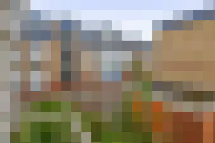 Diergaardesingel 44 Rotterdam thumbnail 23