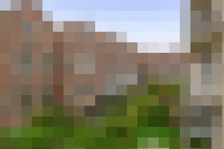 Diergaardesingel 44 Rotterdam thumbnail 24