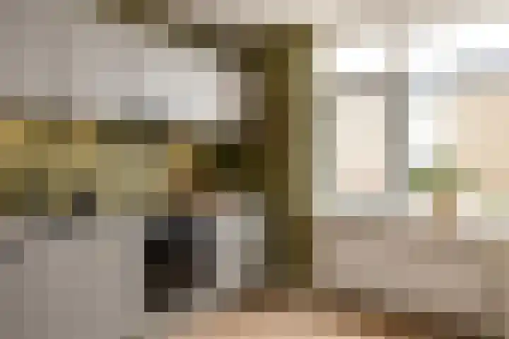 Diergaardesingel 44 Rotterdam thumbnail 5