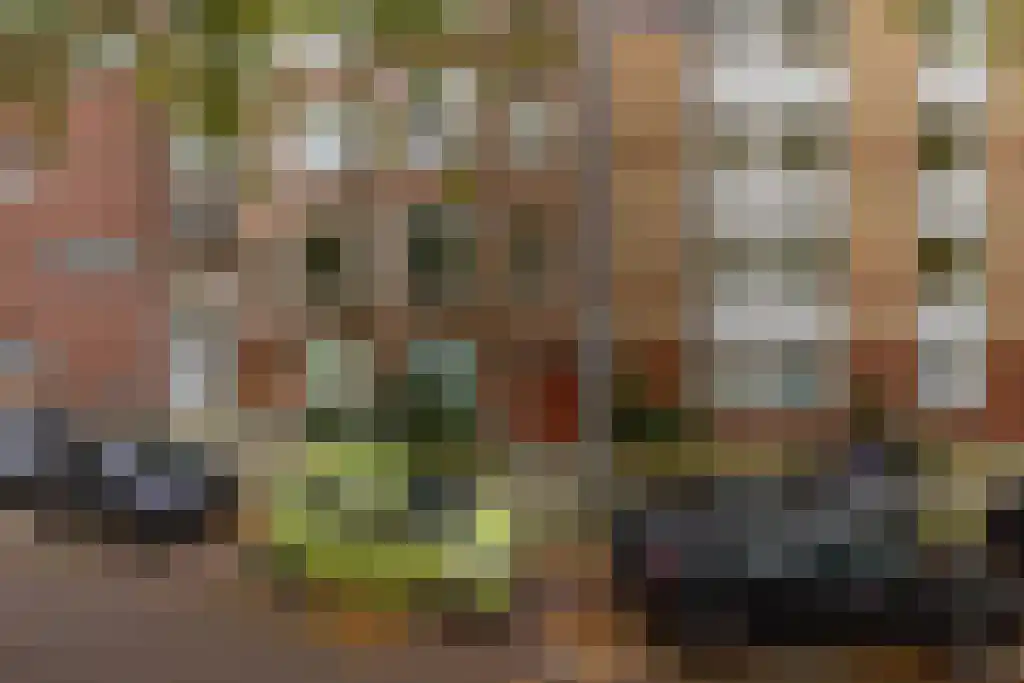 Diergaardesingel 54 B Rotterdam thumbnail 32