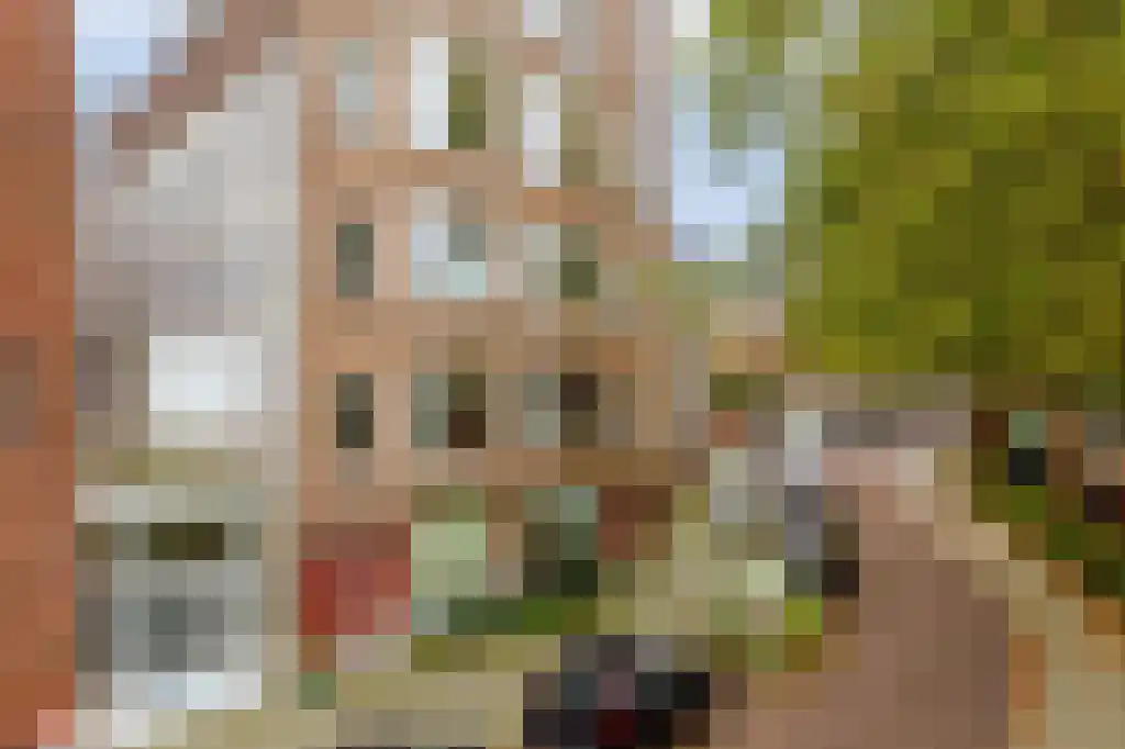 Diergaardesingel 54 B Rotterdam thumbnail 9