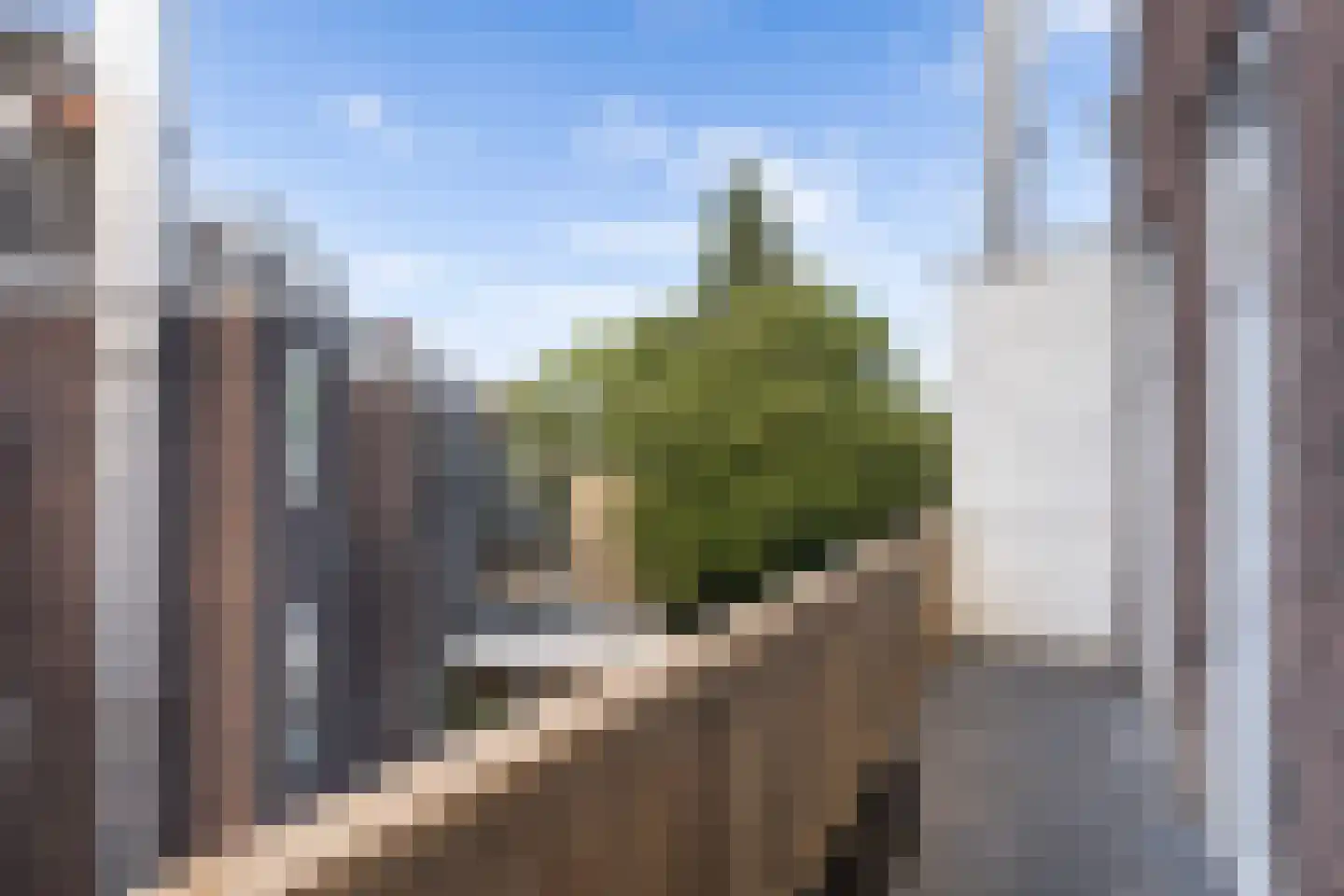 Diergaardesingel 94 B Rotterdam thumbnail 10