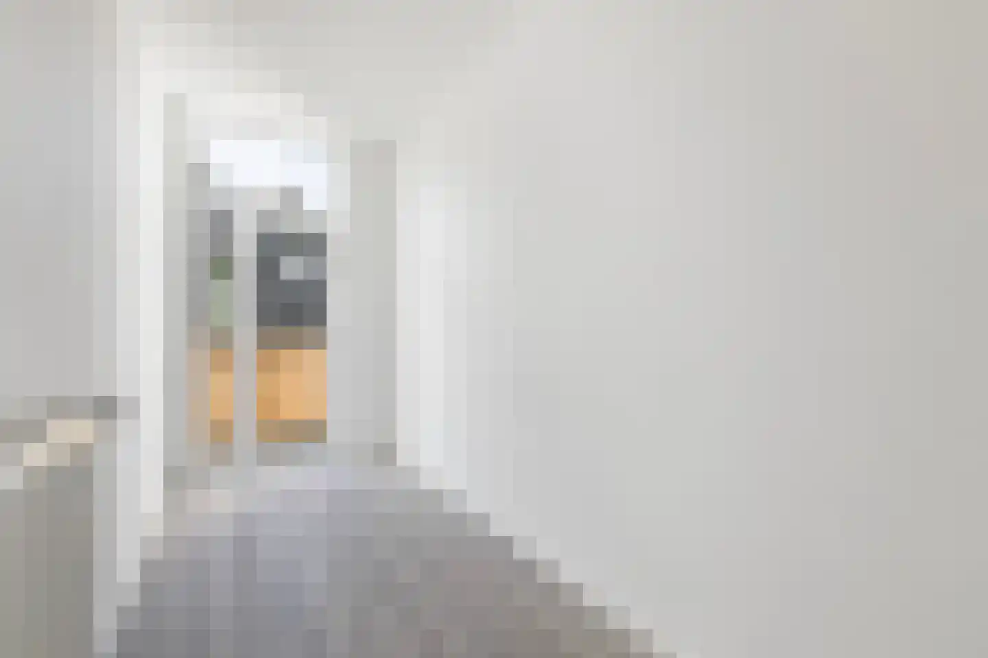 Diergaardesingel 94 B Rotterdam thumbnail 9