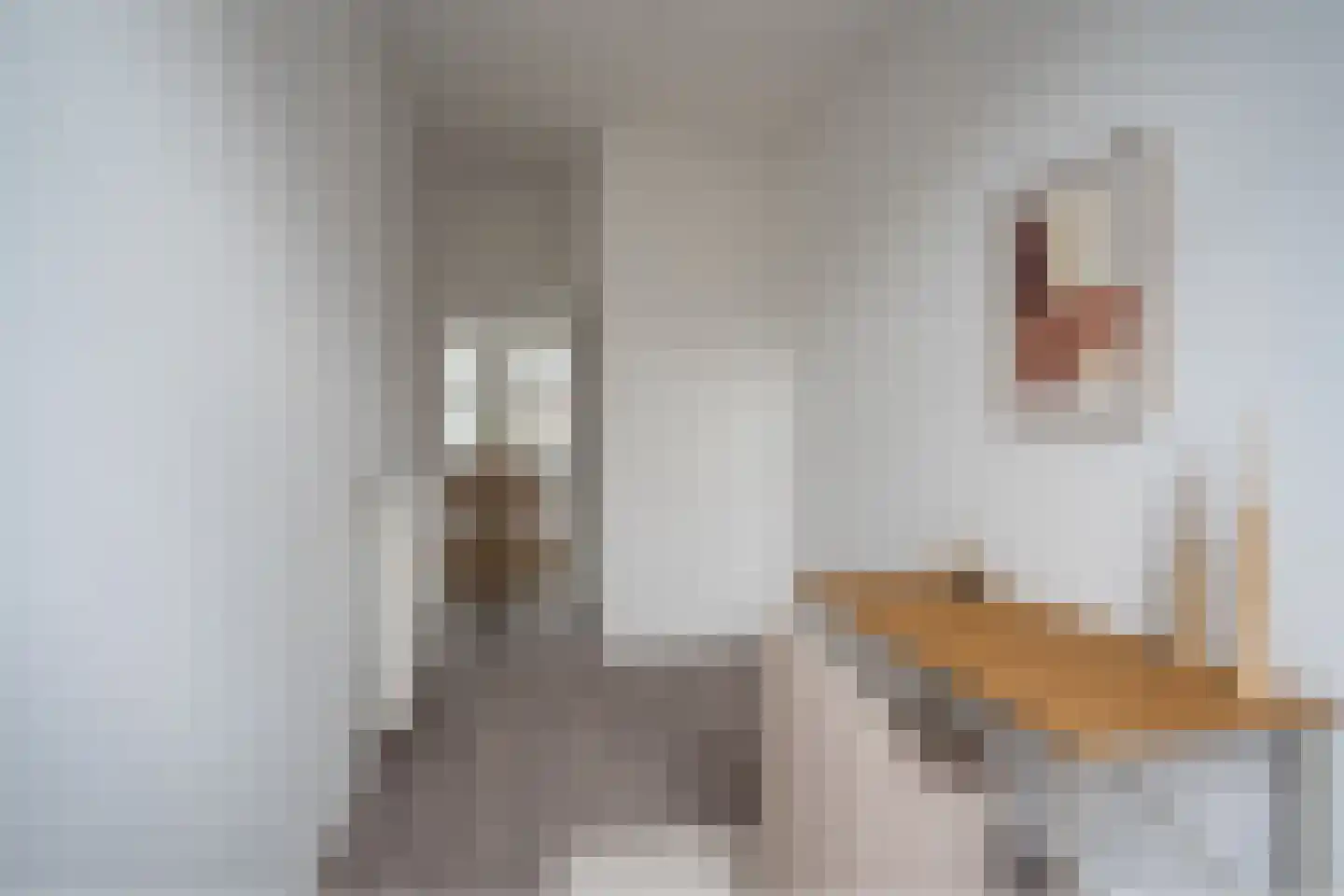 Diergaardesingel 94 C Rotterdam thumbnail 13