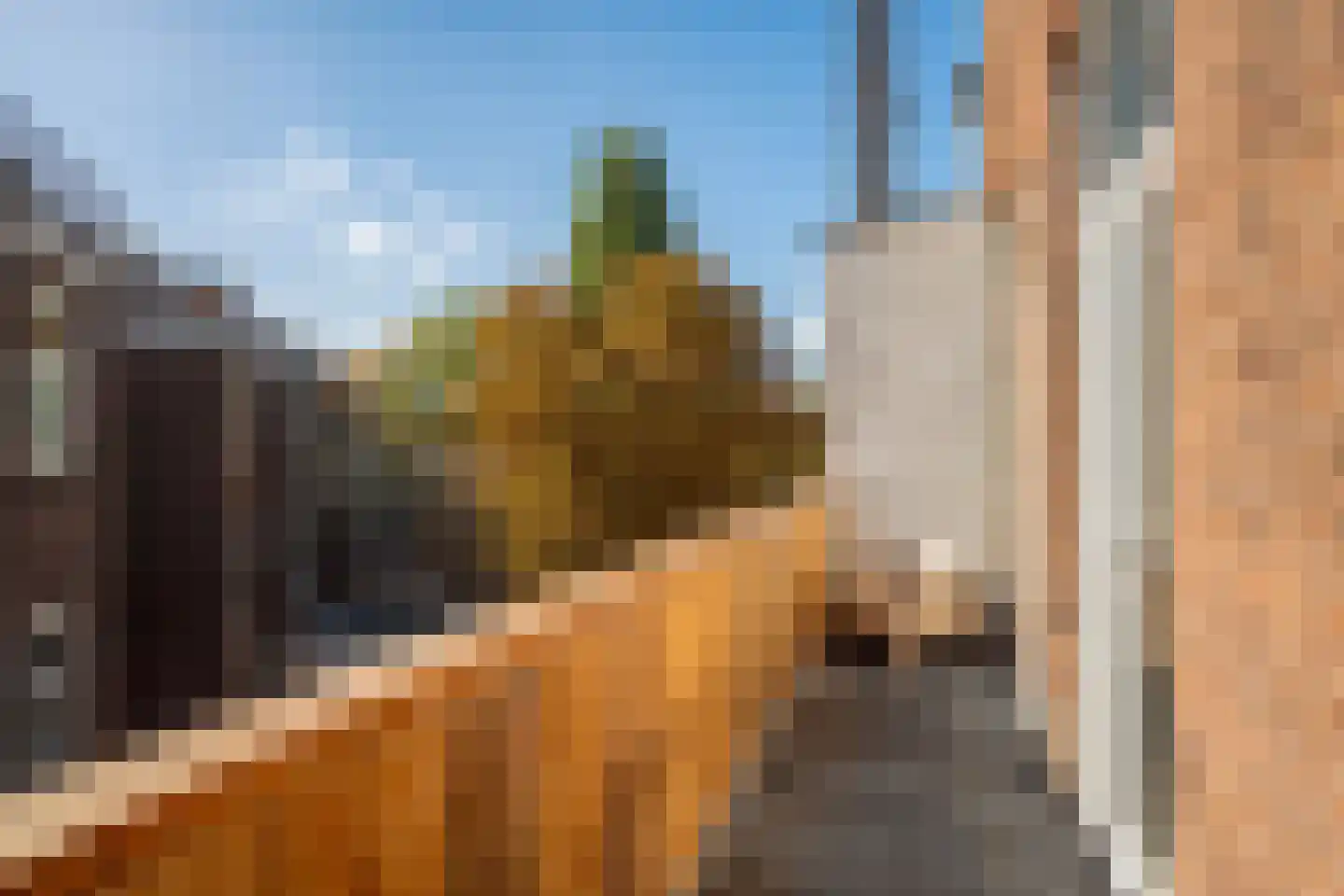 Diergaardesingel 94 C Rotterdam thumbnail 16