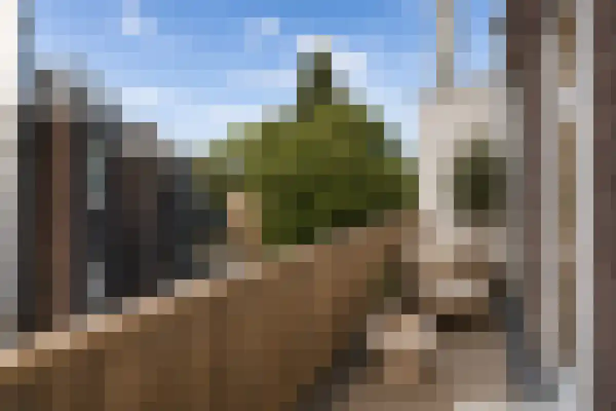 Diergaardesingel 94 C Rotterdam thumbnail 4