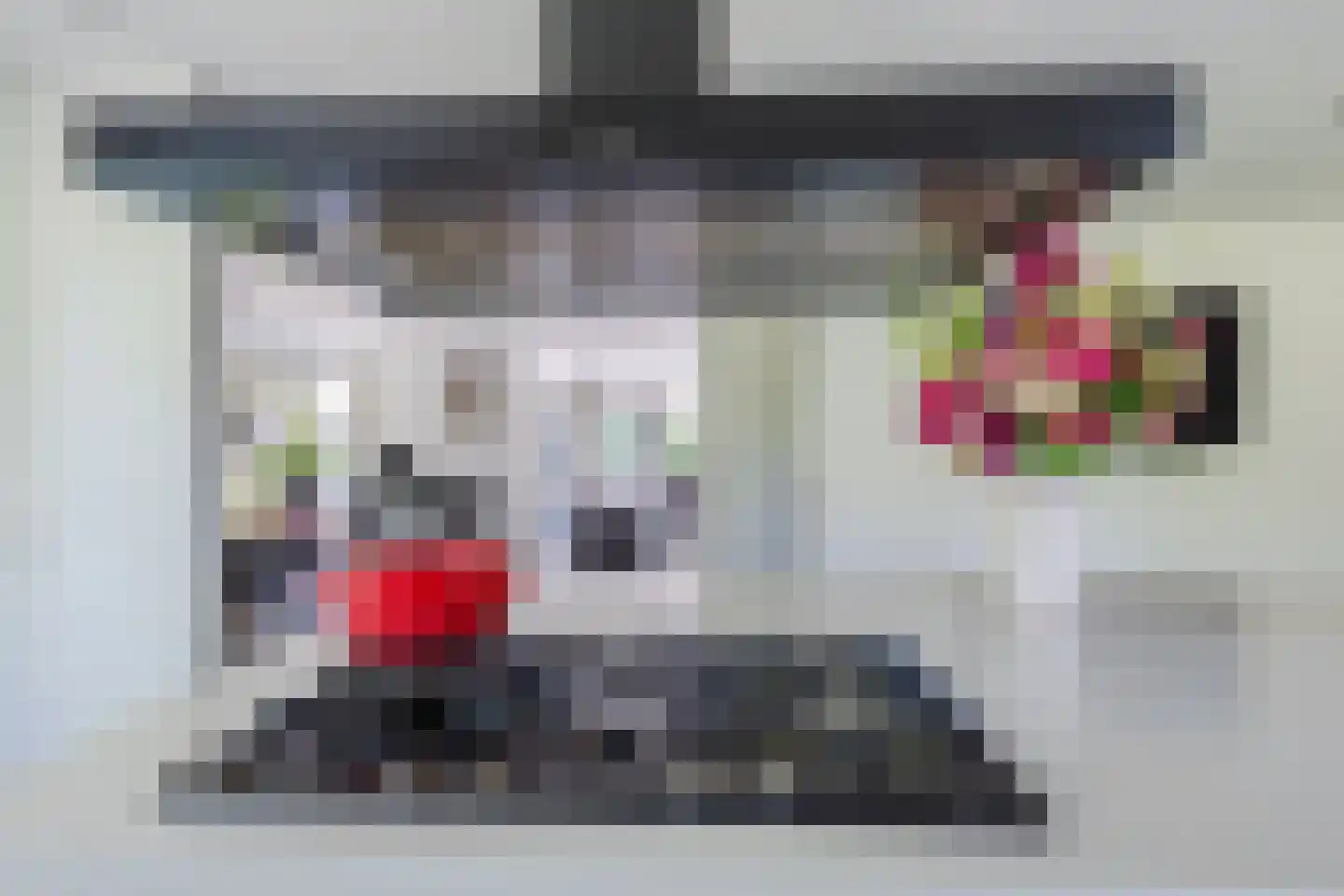 Dierick Boutsstraat 12 Axel thumbnail 15