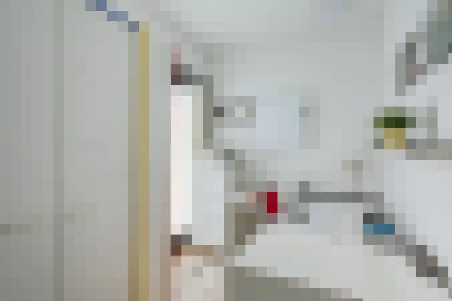 Dierick Boutsstraat 12 Axel thumbnail 17