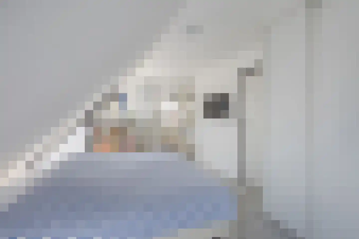 Dierick Boutsstraat 12 Axel thumbnail 23