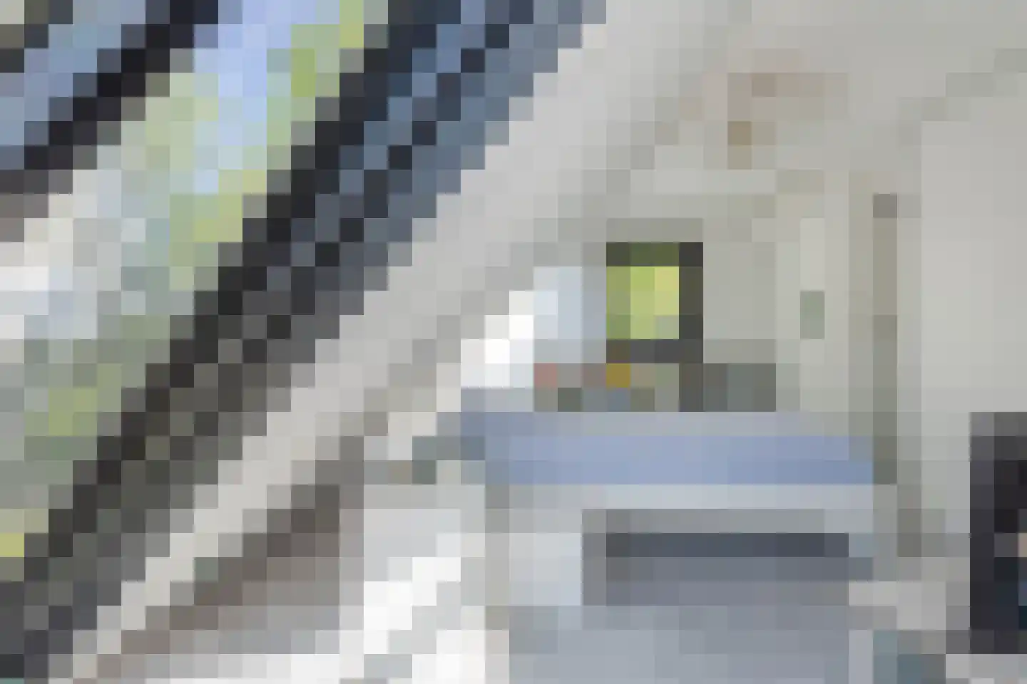 Dierick Boutsstraat 12 Axel thumbnail 27