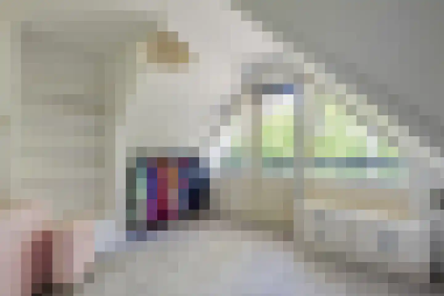 Dierick Boutsstraat 12 Axel thumbnail 28