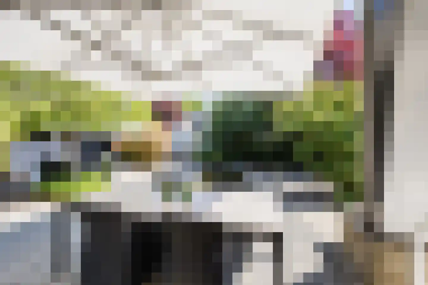 Dierick Boutsstraat 12 Axel thumbnail 41