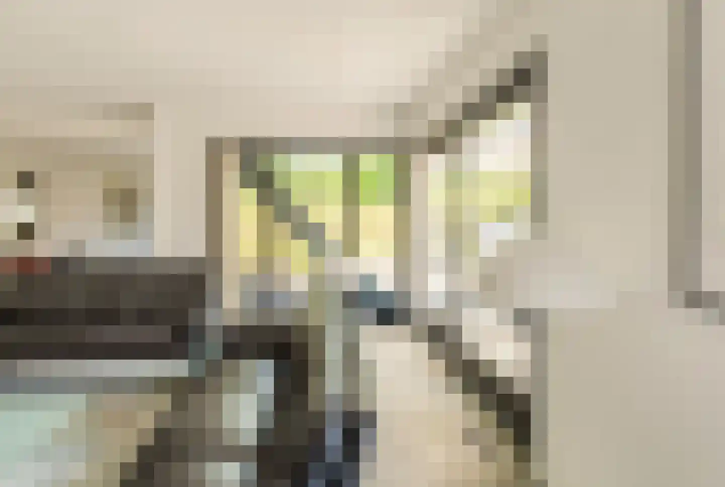 Dierick Boutsstraat 12 Axel thumbnail 9